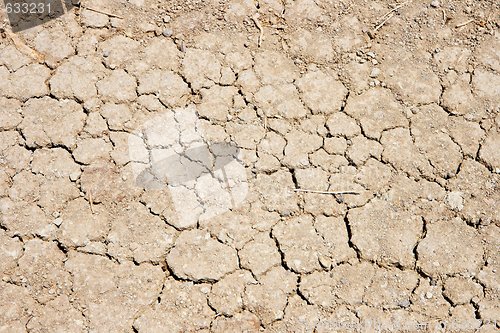 Image of Cracked ground in drought