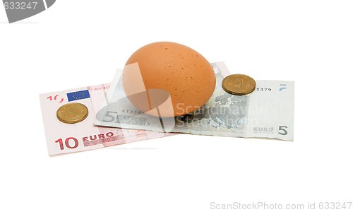 Image of Brown egg on small euro banknotes with coins isolated