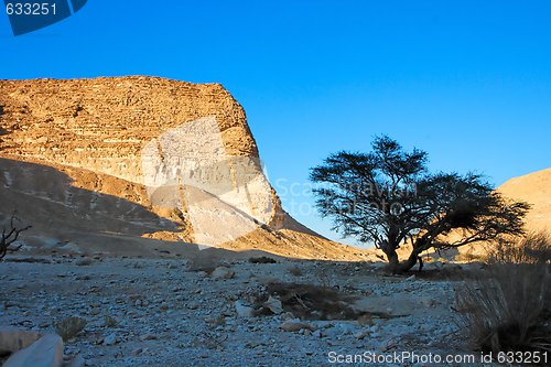 Image of Rocky desert landscape at sunset