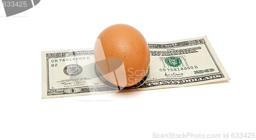 Image of Brown egg on twenty dollar bill isolated