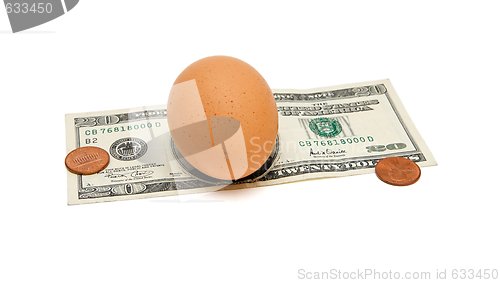 Image of Brown egg on twenty dollar bill isolated