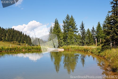 Image of Trees and clouds reflecting in the pond