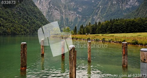 Image of Green water and wooden mooring posts on green mountain lake