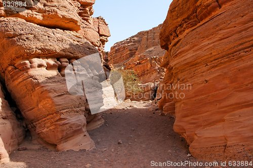 Image of Narrow slot between two striped orange rocks in stone desert