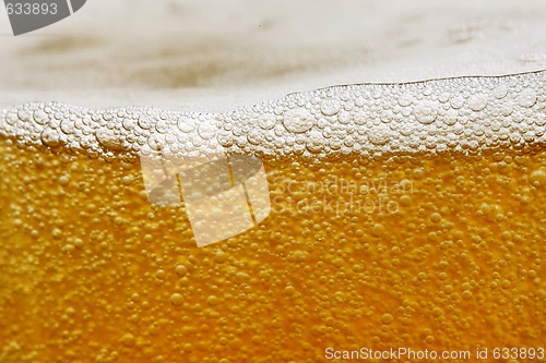 Image of beer