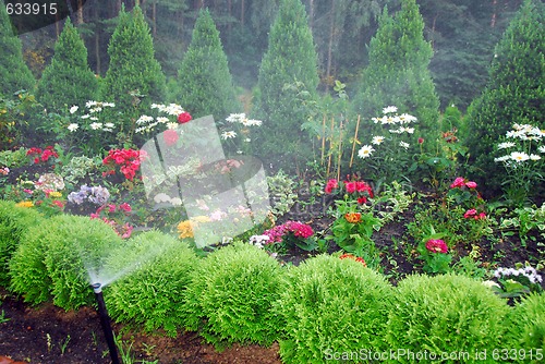 Image of flowers and trees in garden