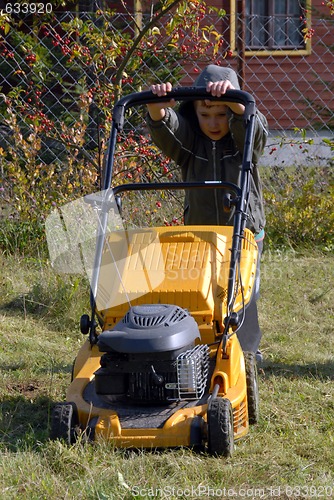 Image of mowing grass