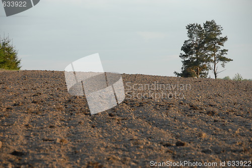 Image of Tillage