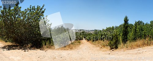 Image of Hiking trail leads from suburb forest into the town
