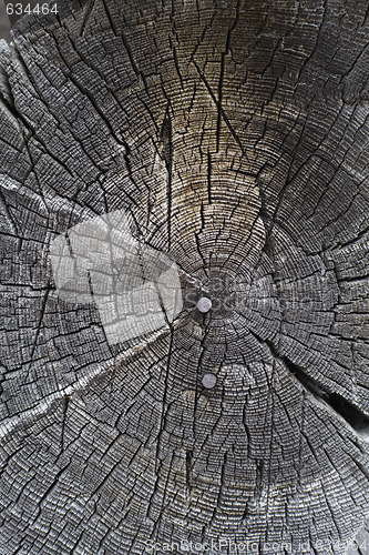 Image of Circular old wood texture with nails