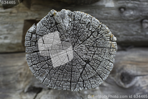 Image of Old wood texture