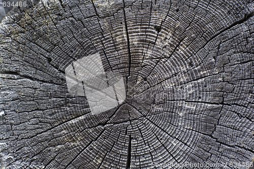 Image of Wood texture
