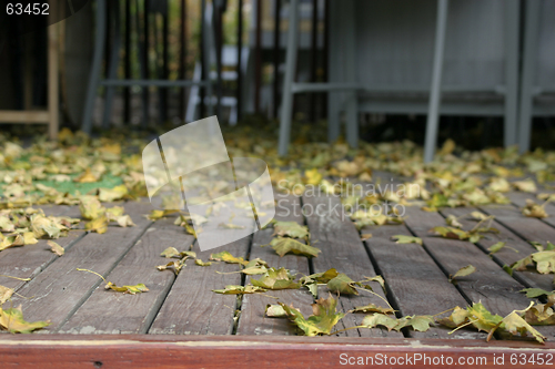 Image of Close up on the Leaves Falling