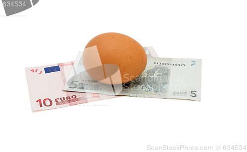 Image of Brown egg on small euro banknotes isolated