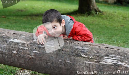 Image of Cute little boy with sly expression leans on the thick log