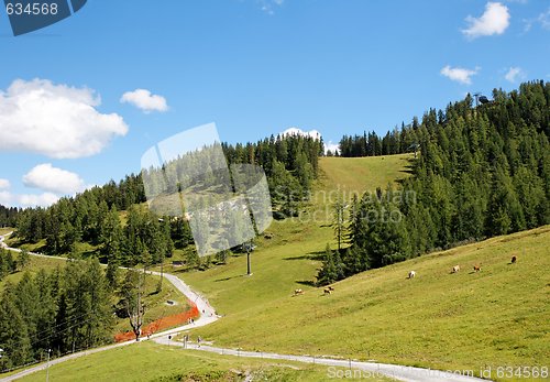 Image of Alpine landscape with mountains, pastures, and footpath