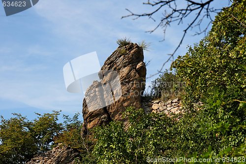 Image of Brown rock finger with grass tuft