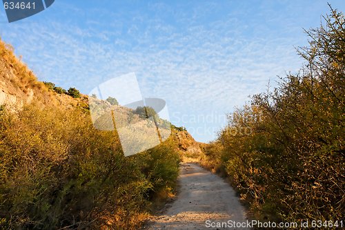 Image of Track winding between bush-covered hills on sunset