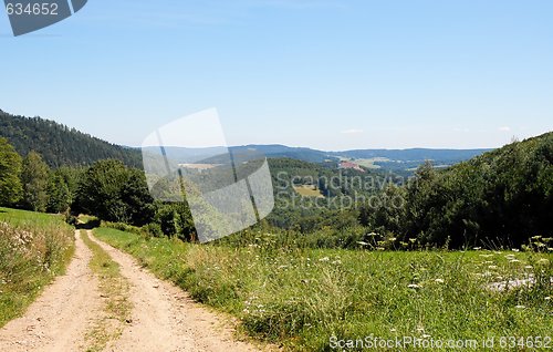 Image of Country road among green hills and meadows