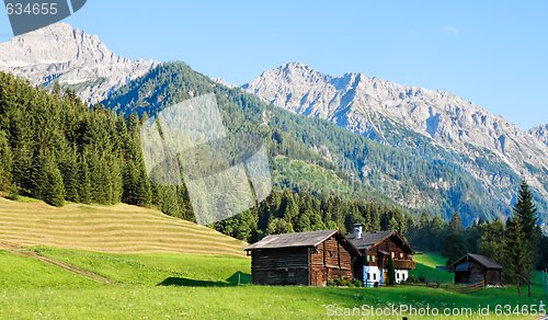 Image of Alpine landscape in Austria: mountains, forests, meadows and a farm