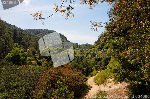 Image of Hiking track among green wooded hills 