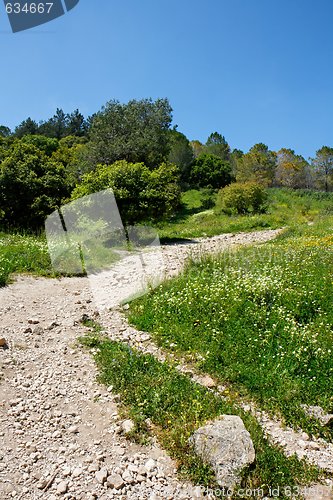 Image of Hiking trail turn in the woods in bright summer day