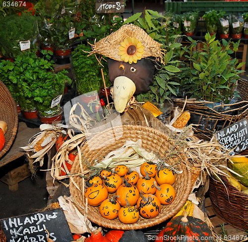 Image of Crow doll selling small smiling pumpkins at the market
