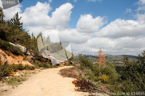 Image of Scenic path curve among wooded hills around Jerusalem