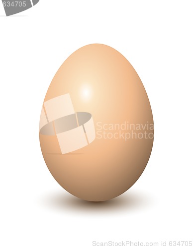 Image of Egg