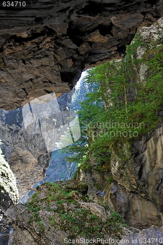 Image of Narrow Alpine canyon in Austria