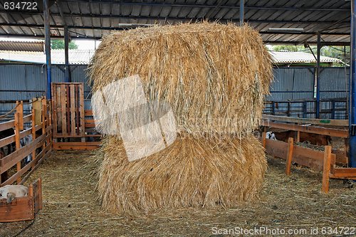 Image of Haystacks at the agricultural farm stored for animal feed