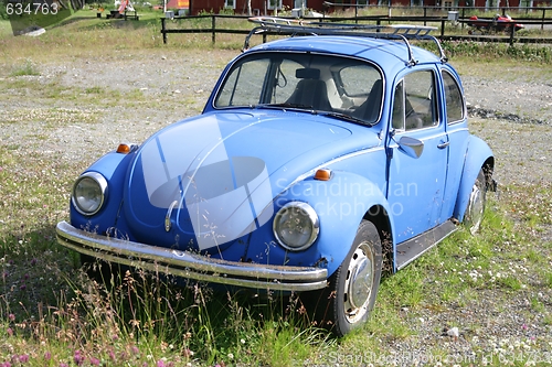 Image of Old WV Beetle