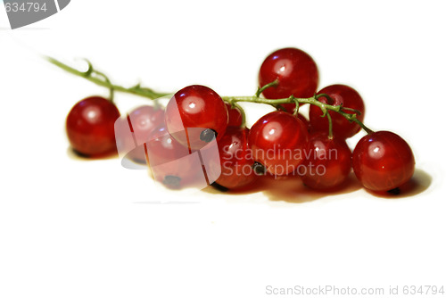 Image of Fresh red currant