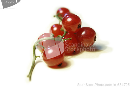 Image of fresh red currant