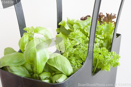 Image of greens