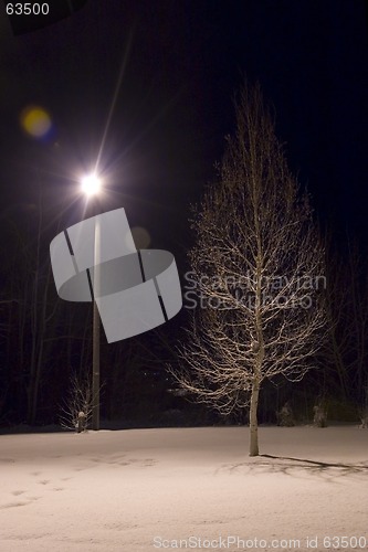 Image of Winter: Light and shadow