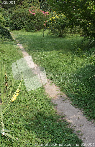 Image of path
