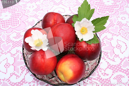 Image of Nectarines