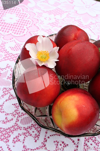 Image of Nectarines