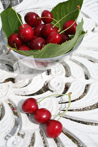 Image of Cherries direct from cherry tree