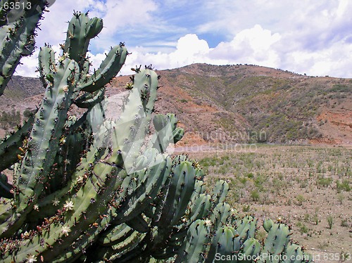 Image of Postcard from Mexico