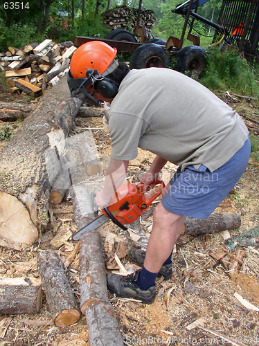 Image of Chainsaw operator