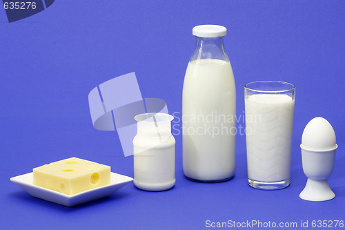 Image of Dairy products