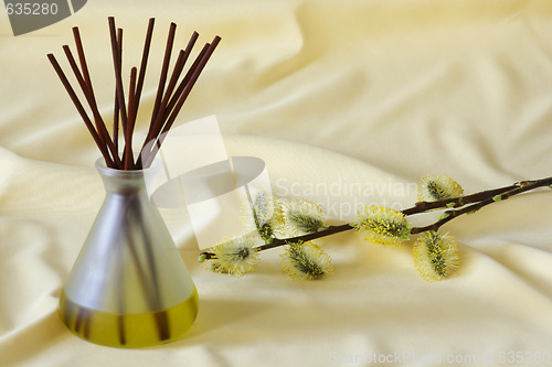 Image of Aromatherapy