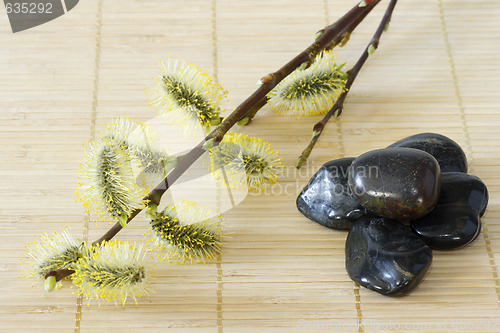 Image of Blooming branches with stones