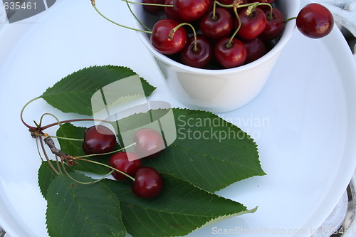 Image of Cherries on leaves