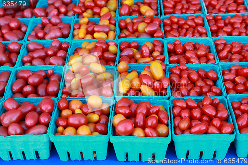 Image of Plum Tomatoes