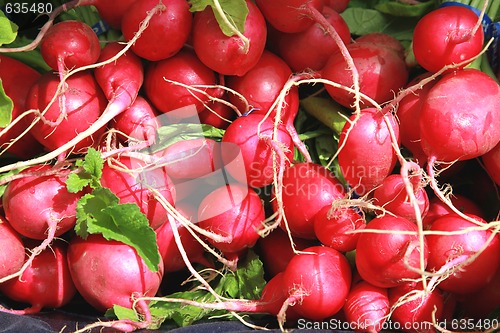 Image of Radishes