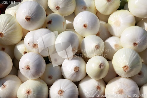 Image of Peeled White Onions