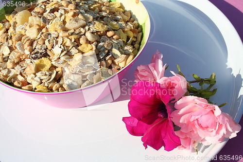 Image of Muesli with  tropical fruits